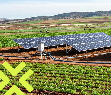 Agriculture – Domaines